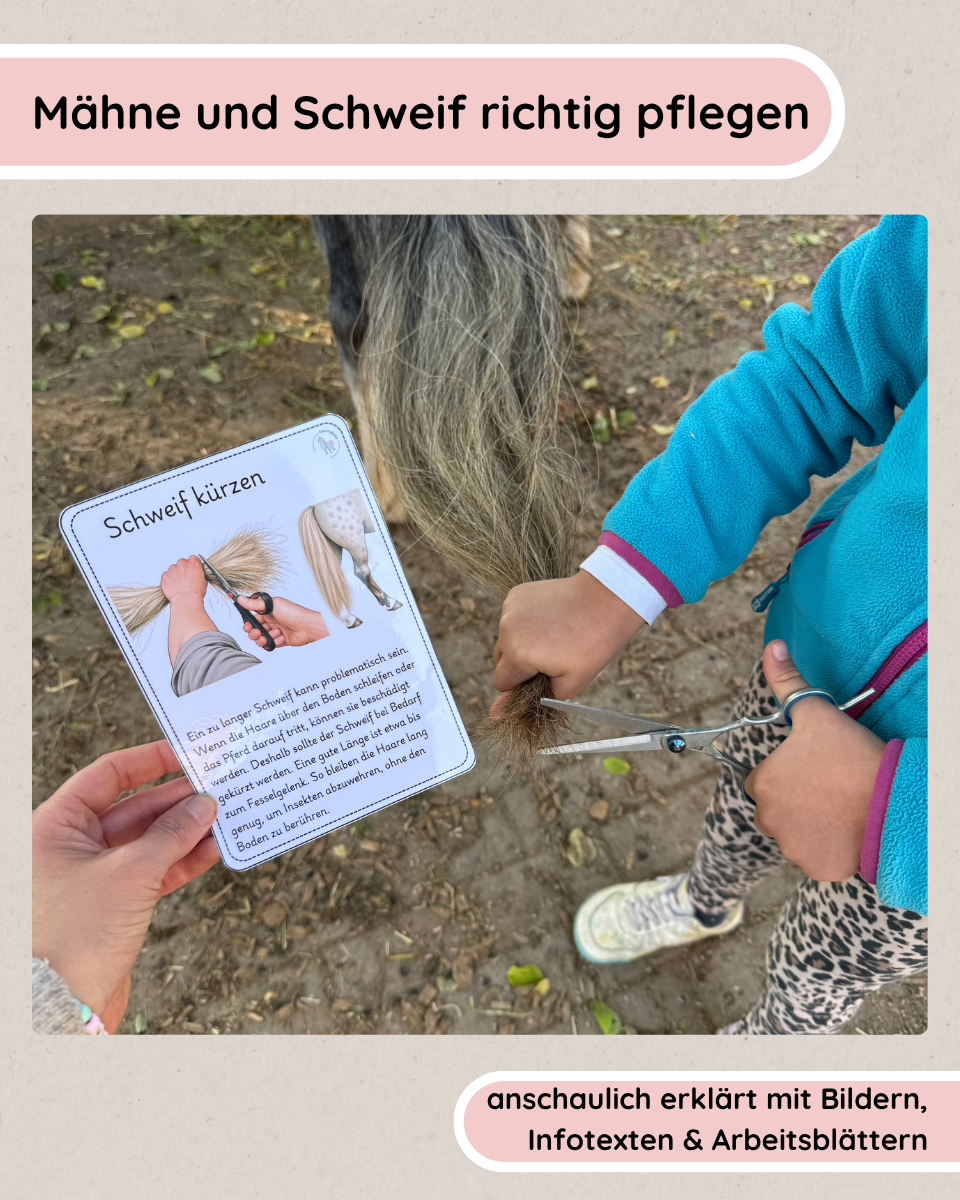 Horse Care - Cooling Horses Down Properly