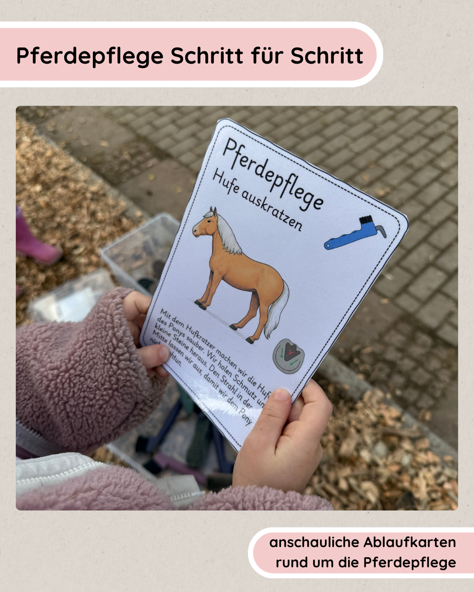 Horse Care Sequence Cards