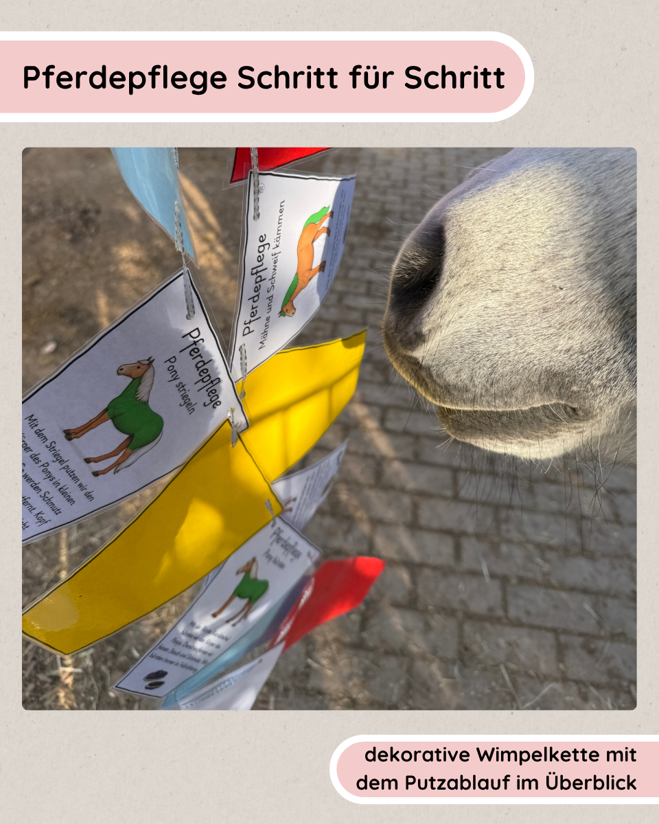 Pferdepflege Schritt für Schritt – Wimpelkette zum Putzablauf