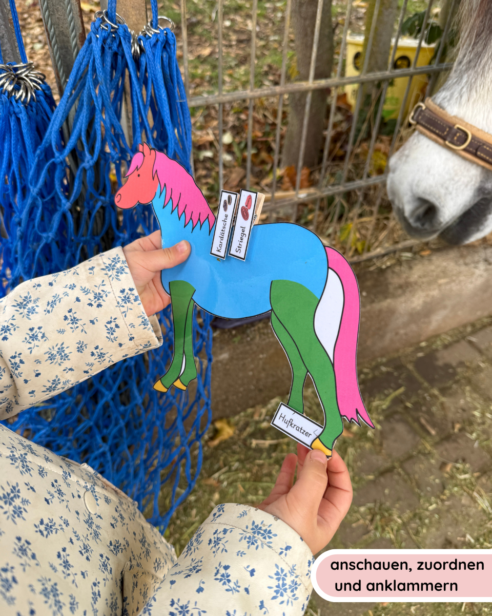 Clip-on Pony Horse Care