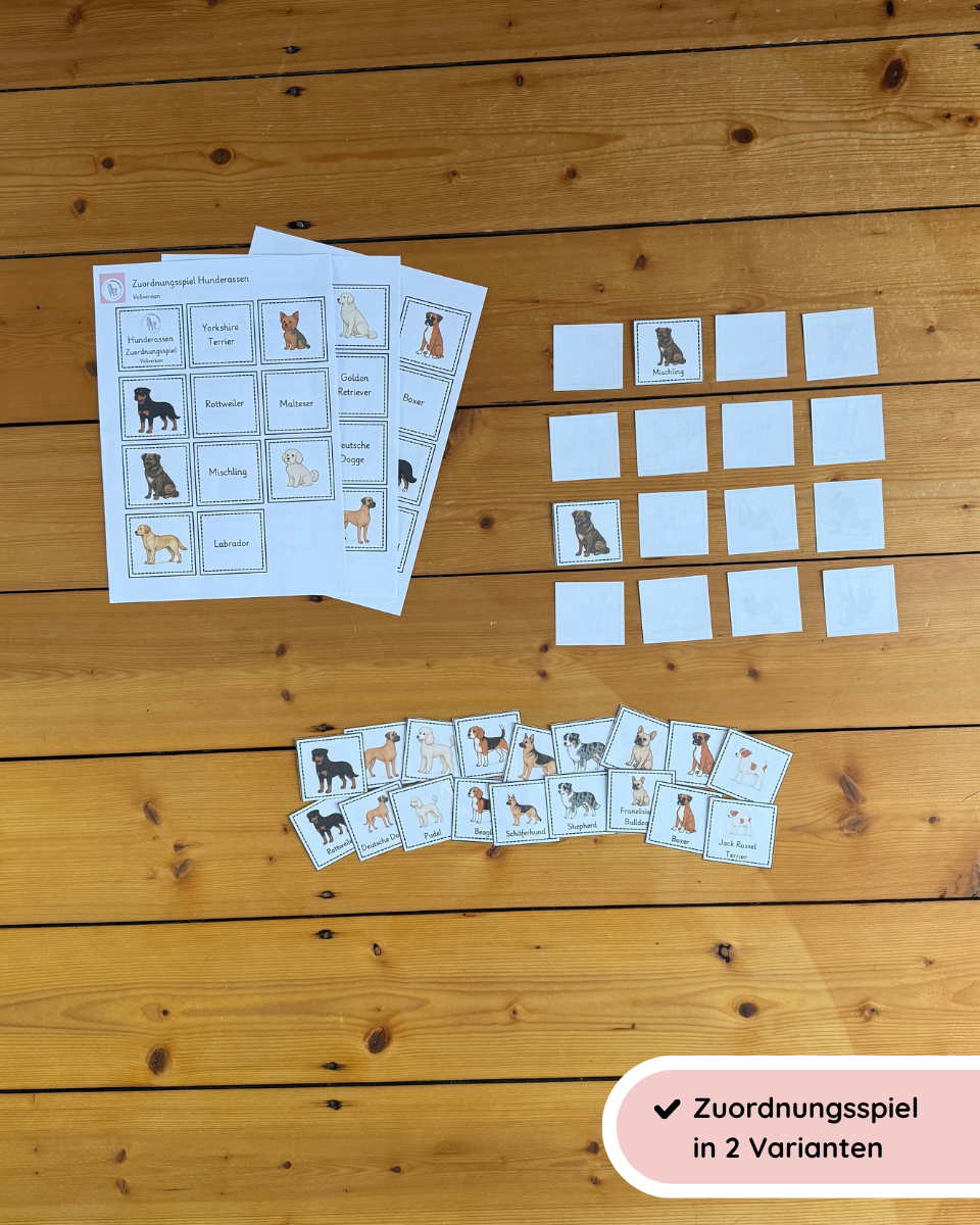 Zuordnungsspiel Hunderassen | Hunderassen spielerisch kennenlernen