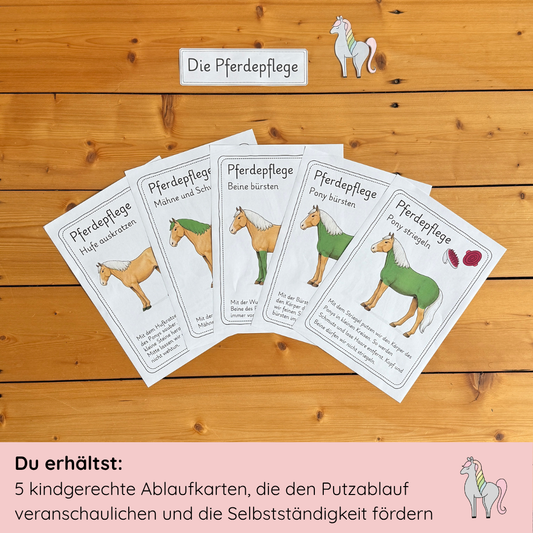 Ablaufkarten Pferdepflege