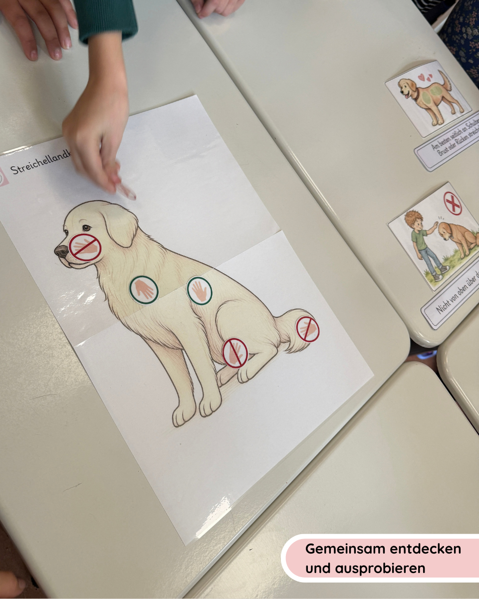 Streichellandkarte Hund | Streichelregeln, Poster & Arbeitsblätter