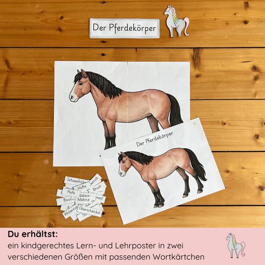 kindgerechte Arbeitsblätter und Lehr- und Lernposter Pferdekörper