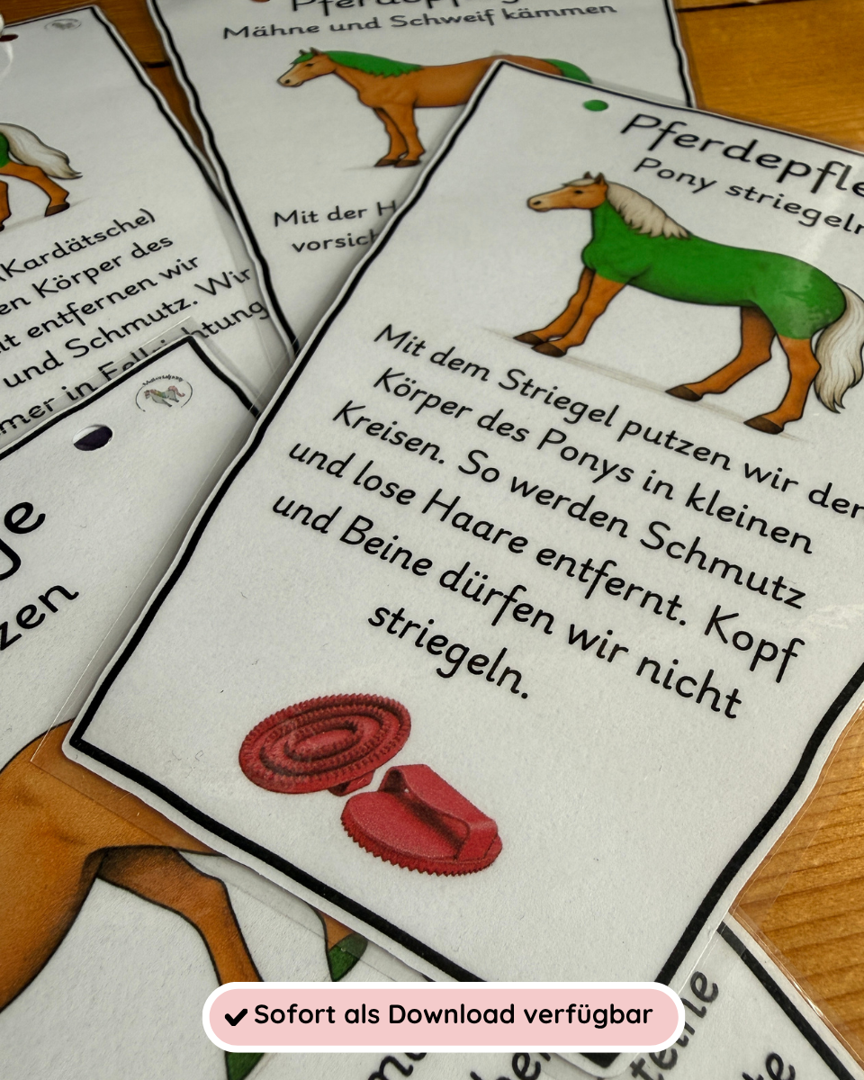 Pferdepflege Schritt für Schritt – Wimpelkette zum Putzablauf