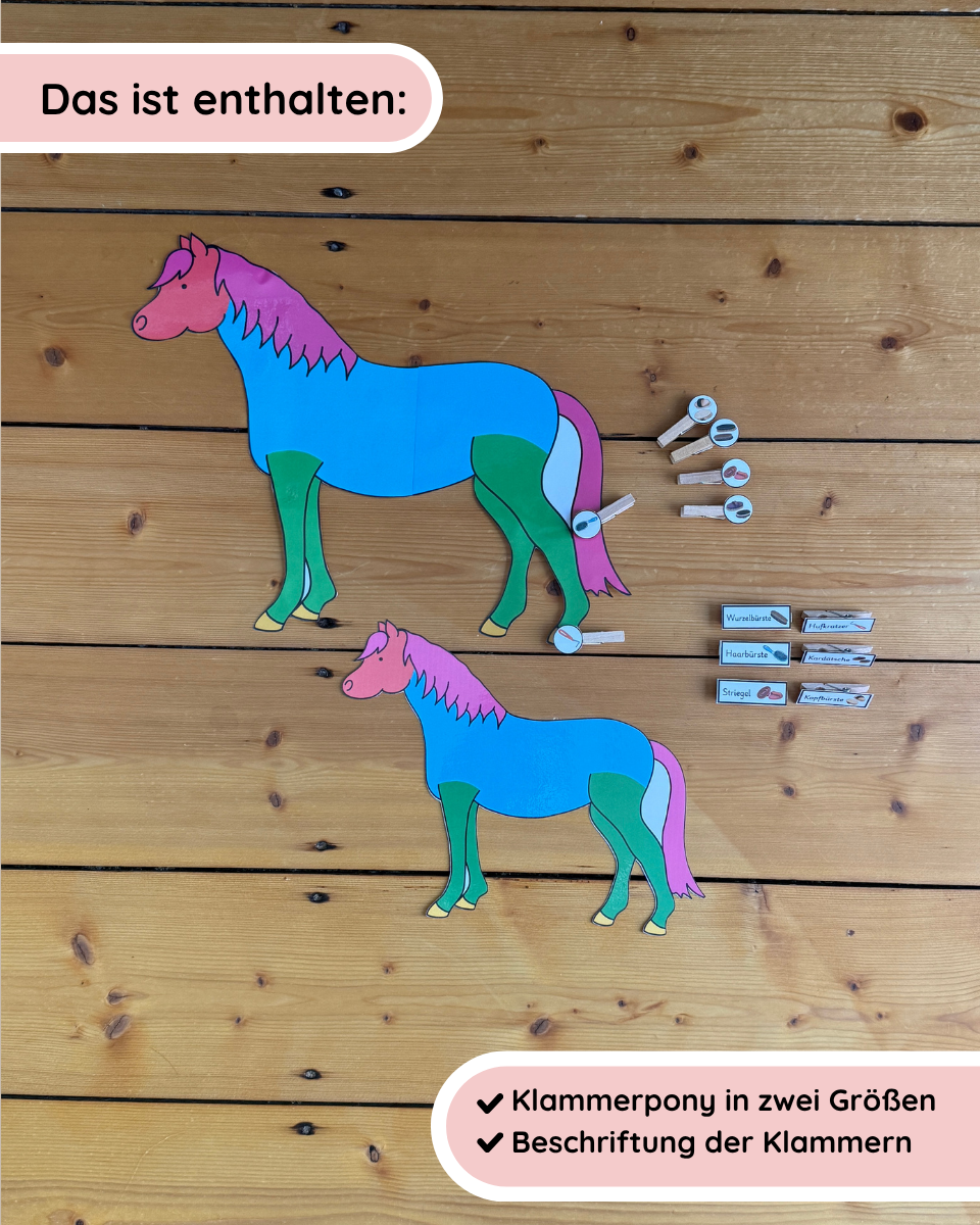 Clip-on Pony Horse Care