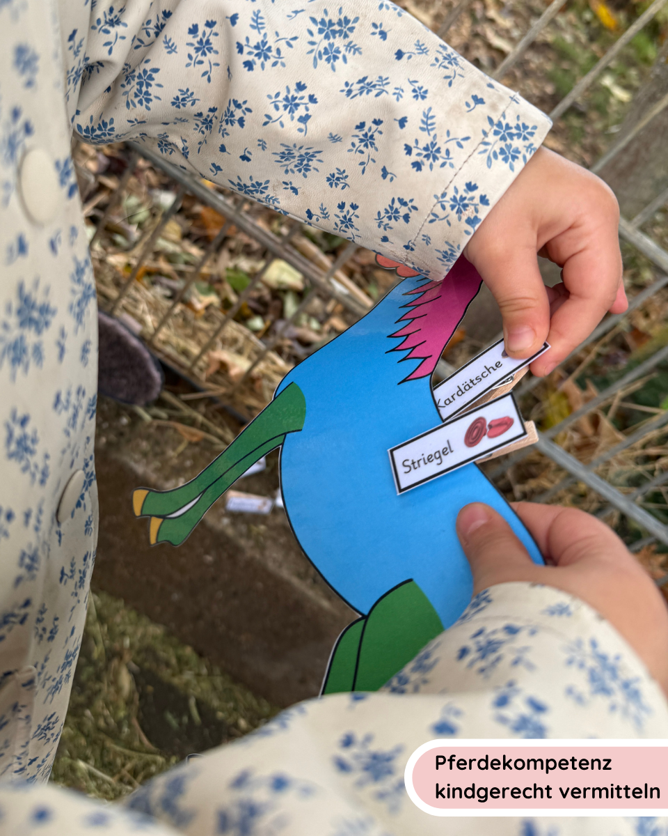 Clip-on Pony Horse Care