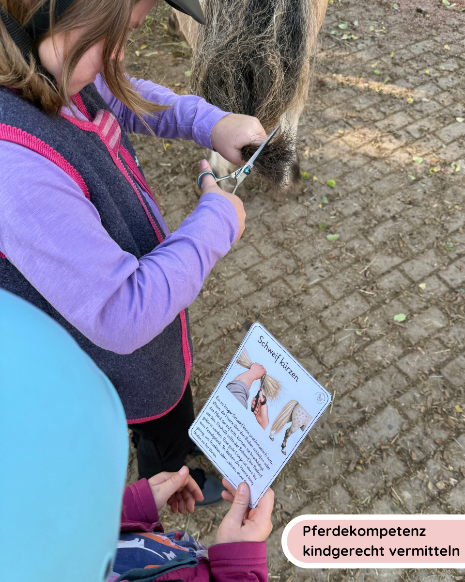 Horse Care - Cooling Horses Down Properly