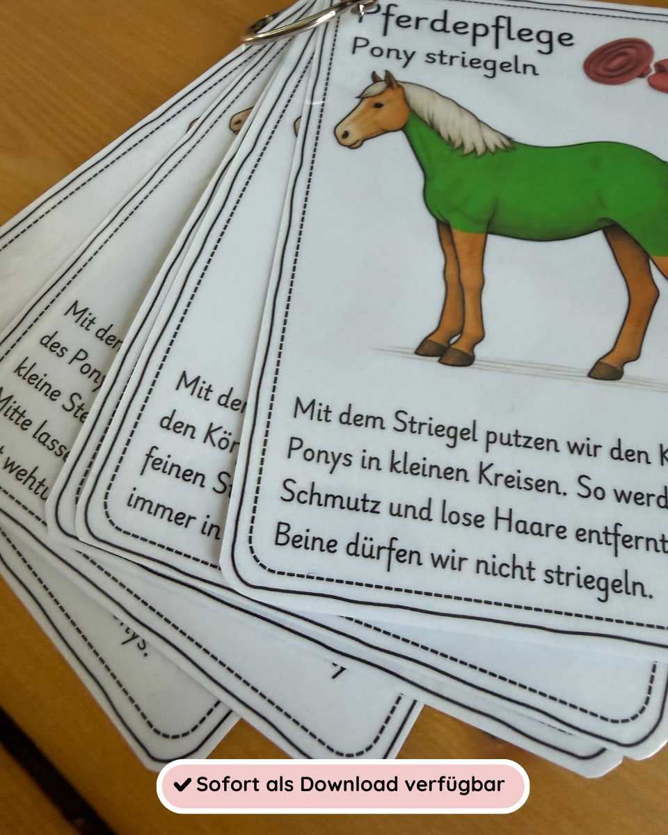Horse Care Sequence Cards