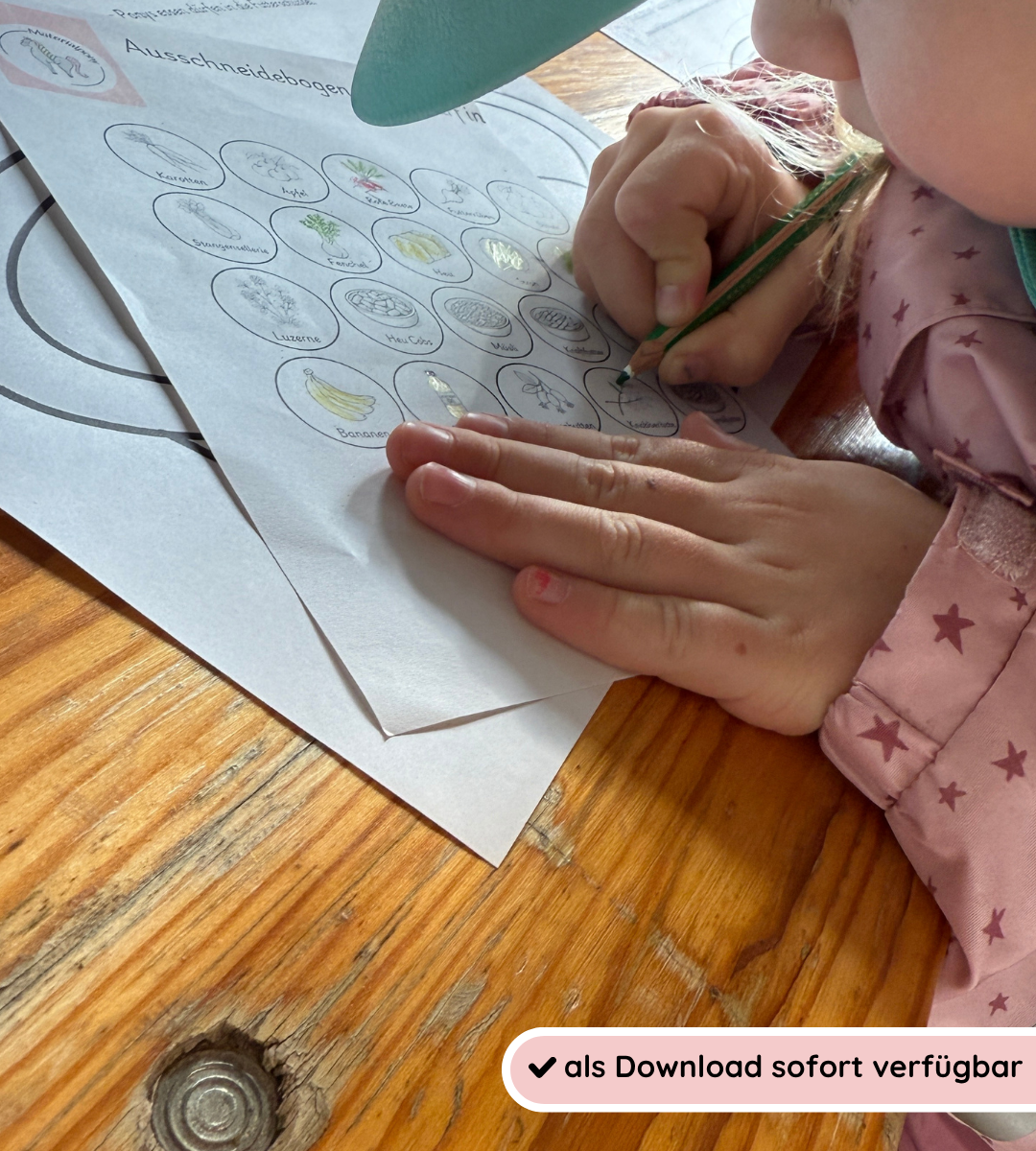 Learning Horse Feeding Playfully - Matching Games and Worksheets
