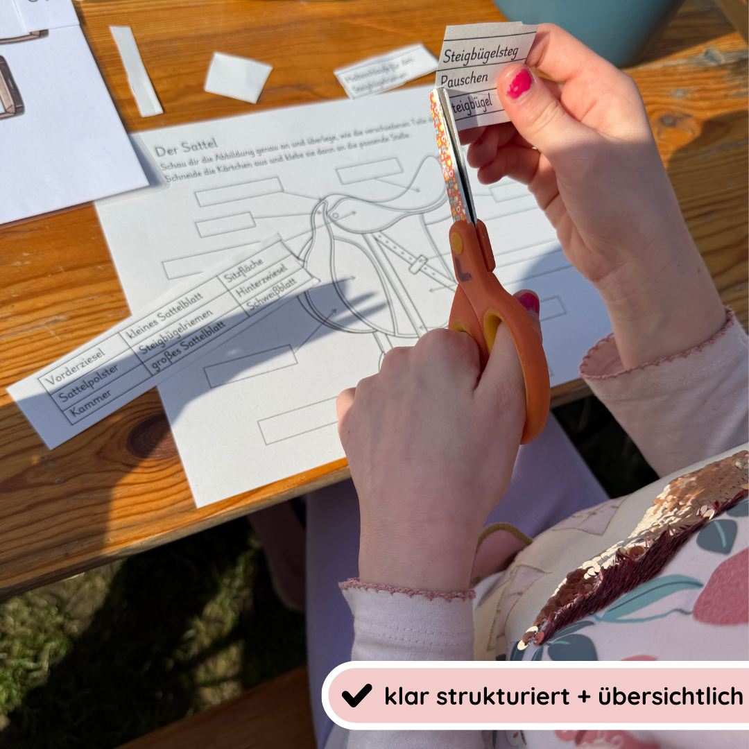 kindgerechte Arbeitsblätter und Lehr- und Lernposter Sattel