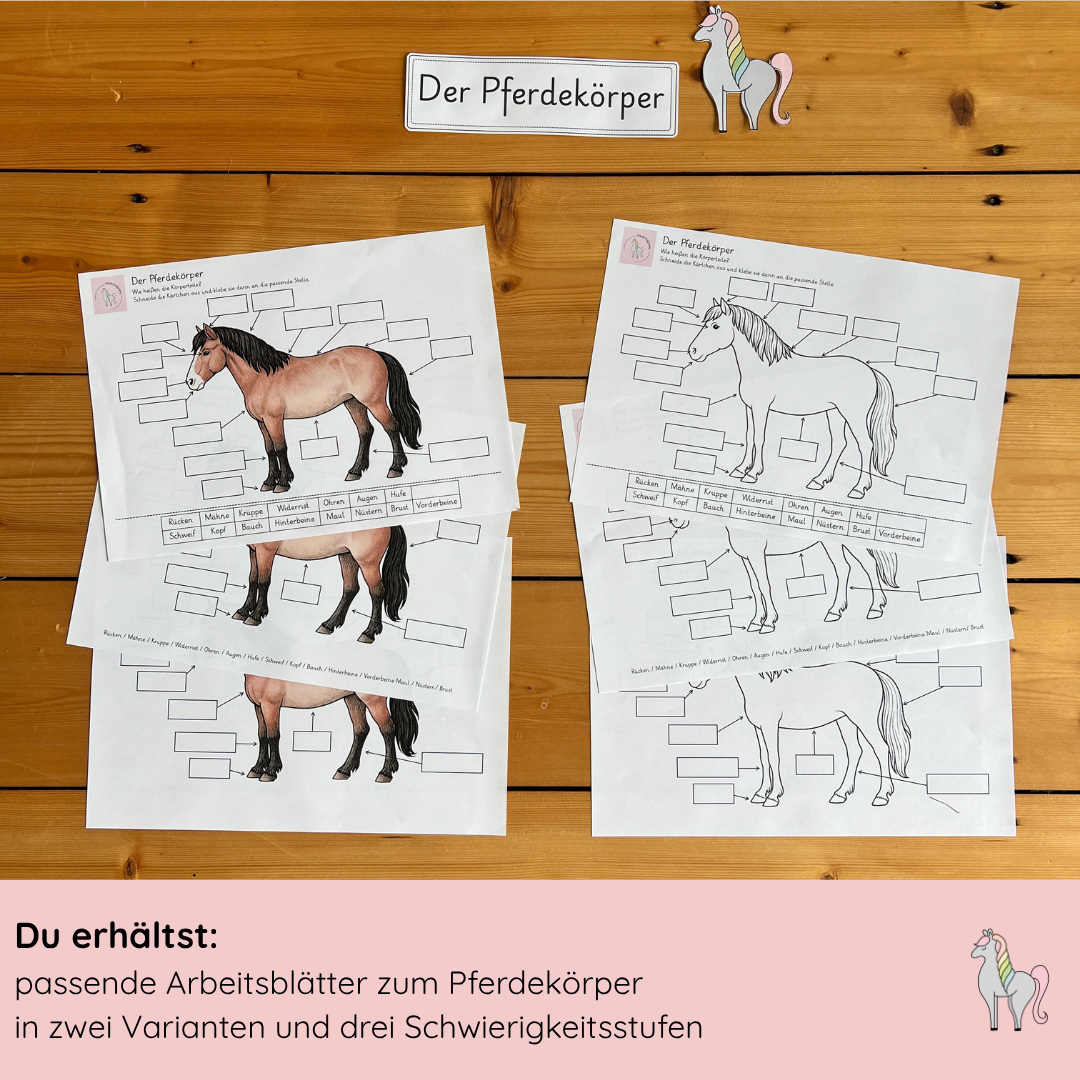 Materialpony Starterpaket