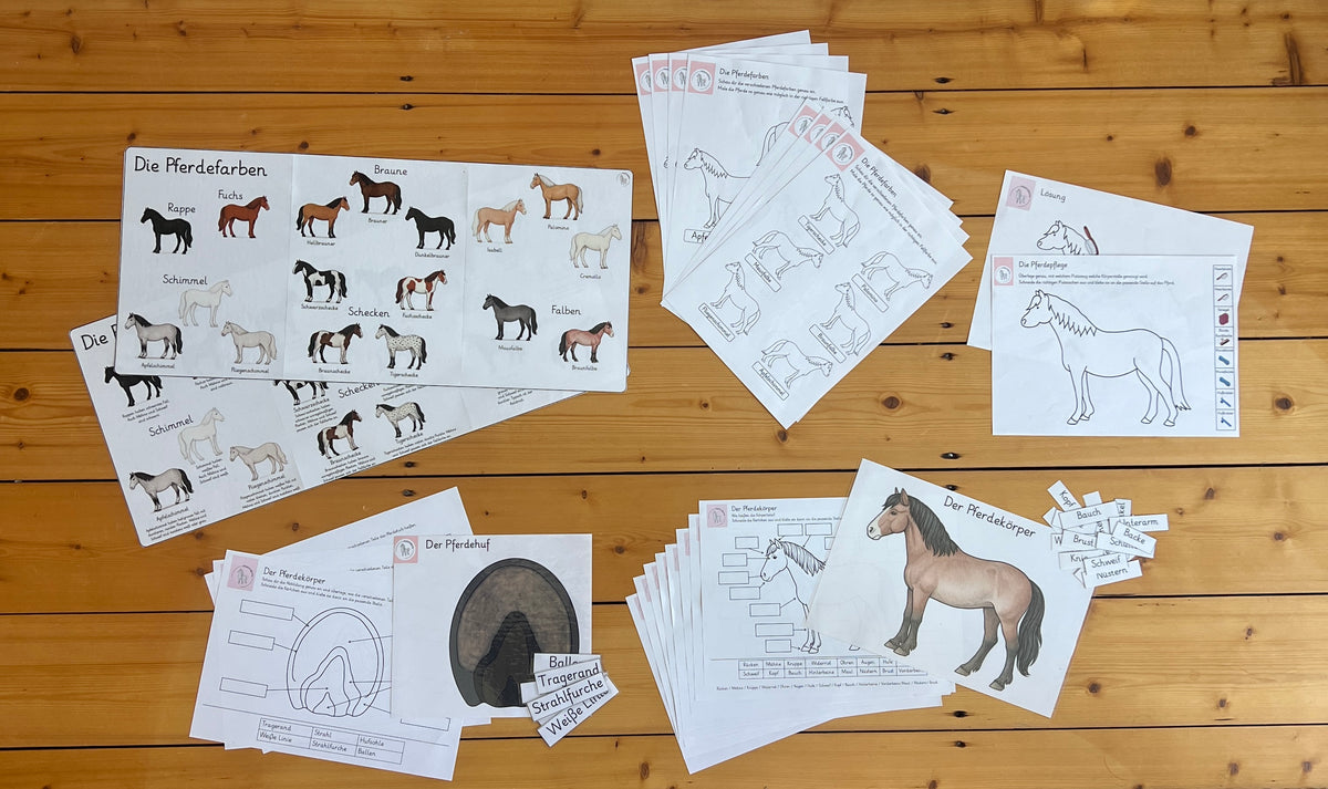 Material Pony Starter Pack