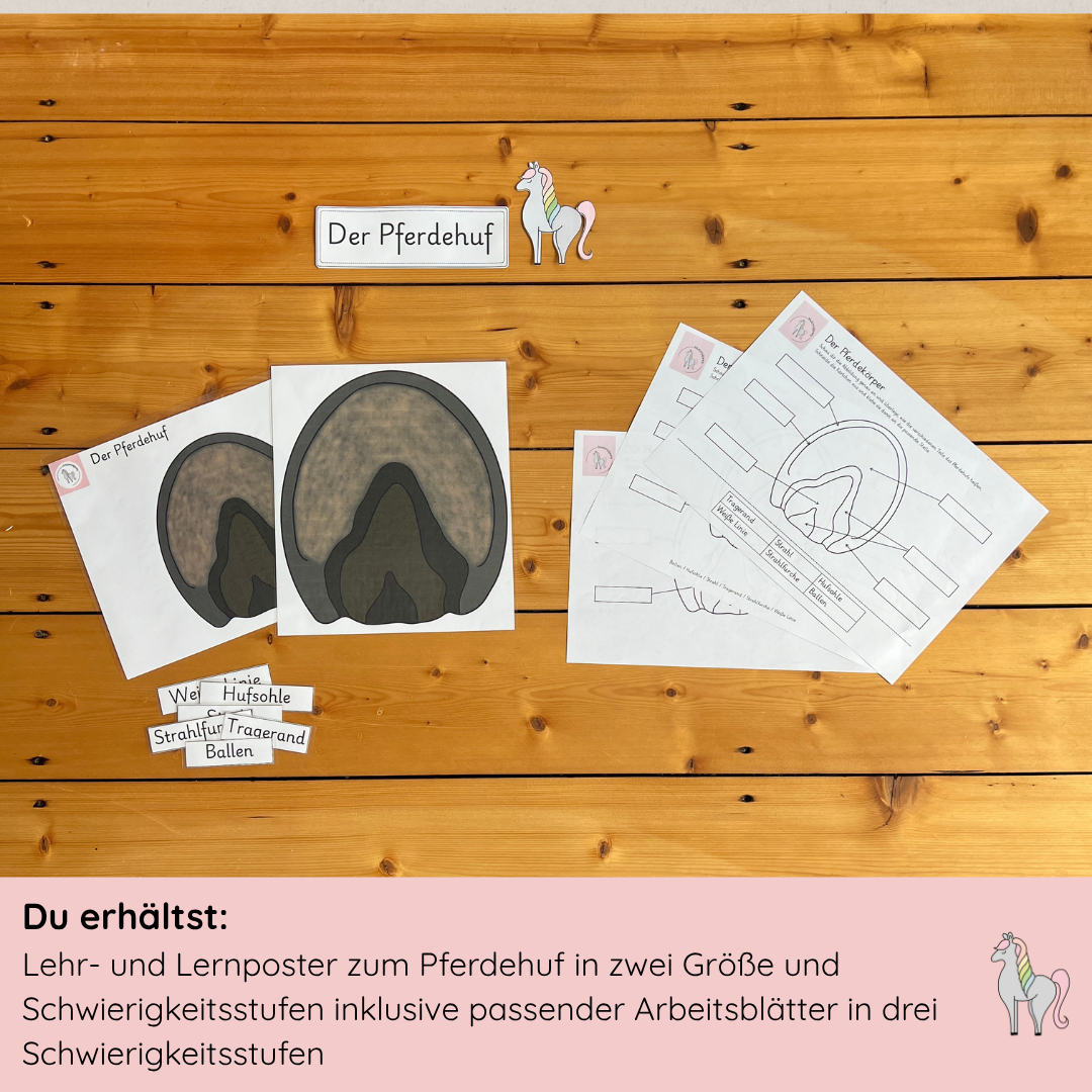 Materialpony Starterpaket