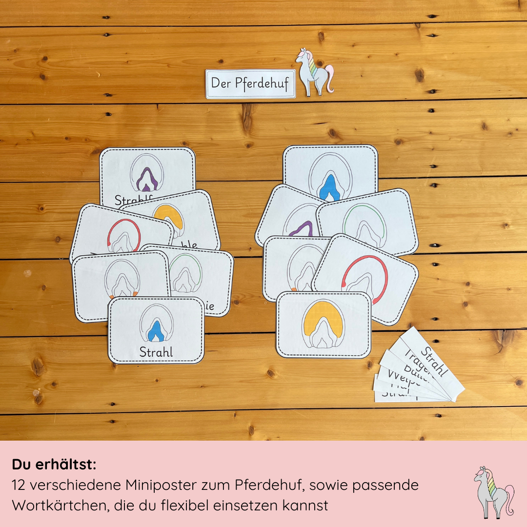 Unser Pferdehuf-Bundle