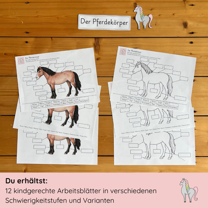 Materialpony - All-around care