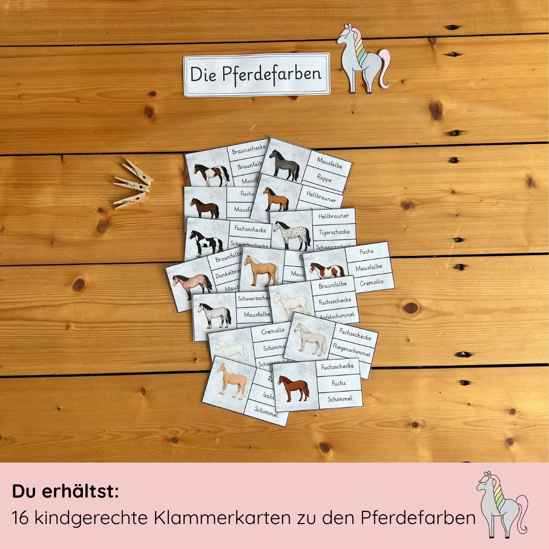 Unser Pferdefarben-Bundle