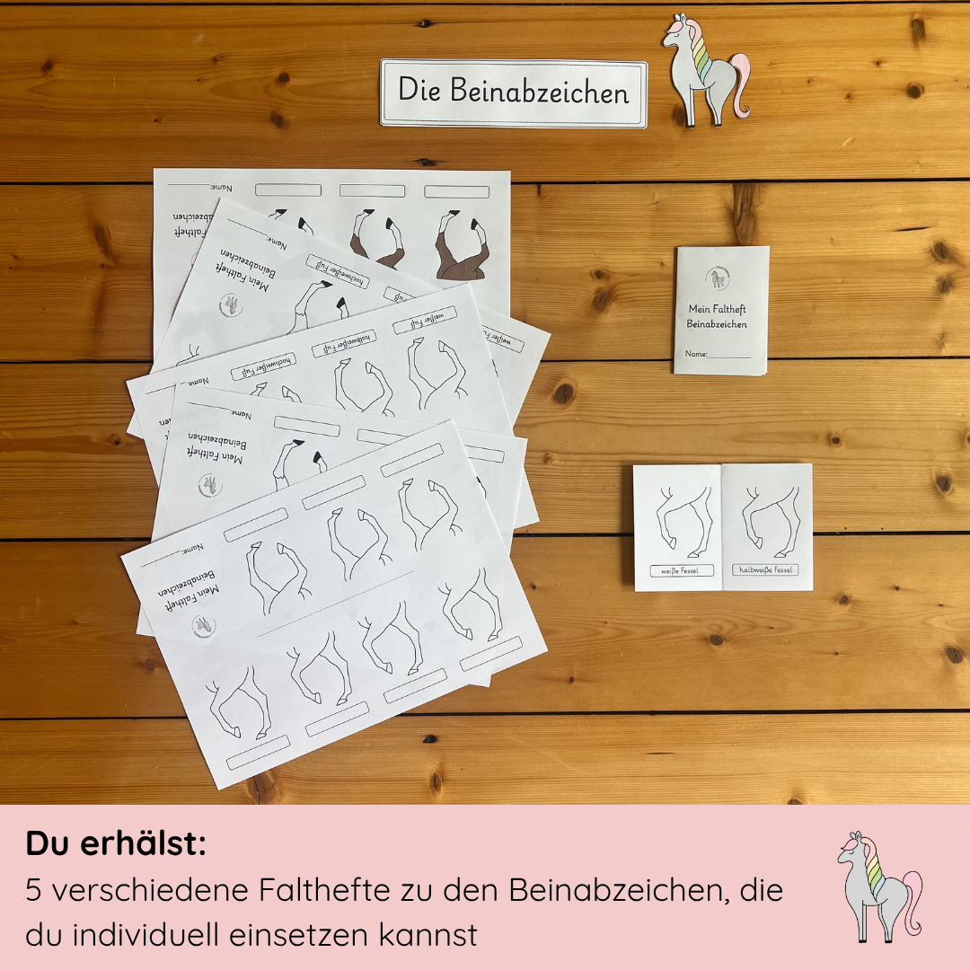 Unser Beinabzeichen-Bundle