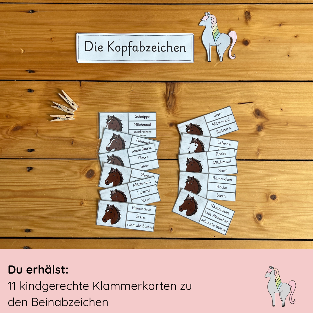Unser Kopfabzeichen-Bundle