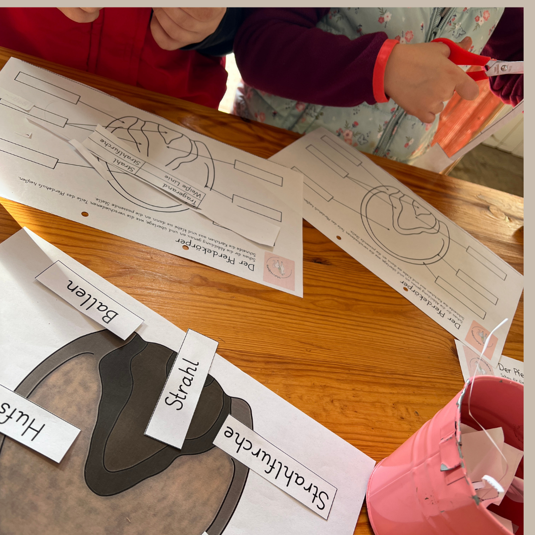 Materialpony Starterpaket