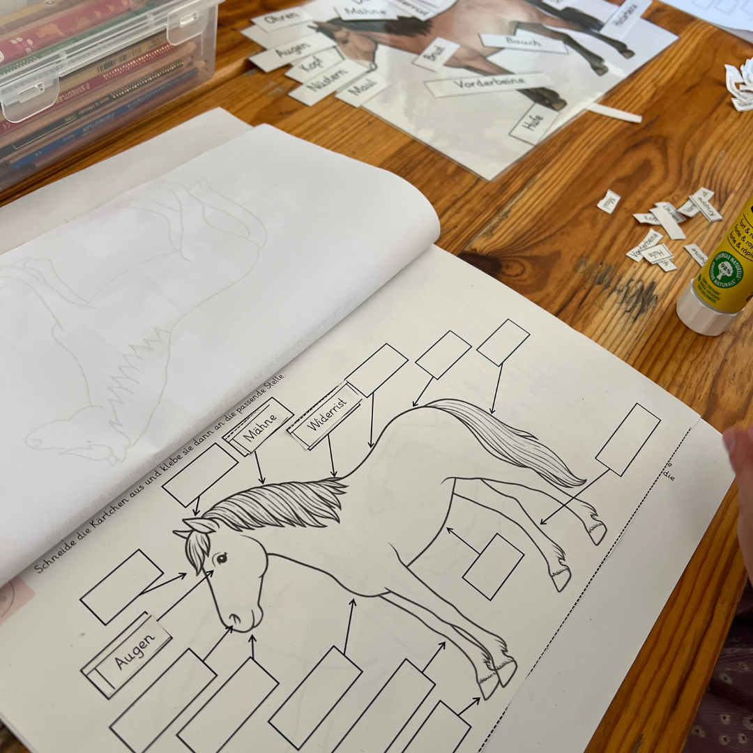 Materialpony - Rundum versorgt