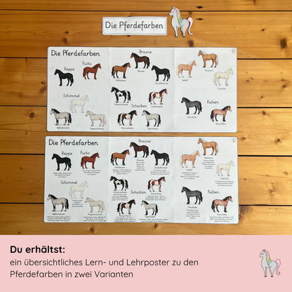 Material Pony Starter Pack