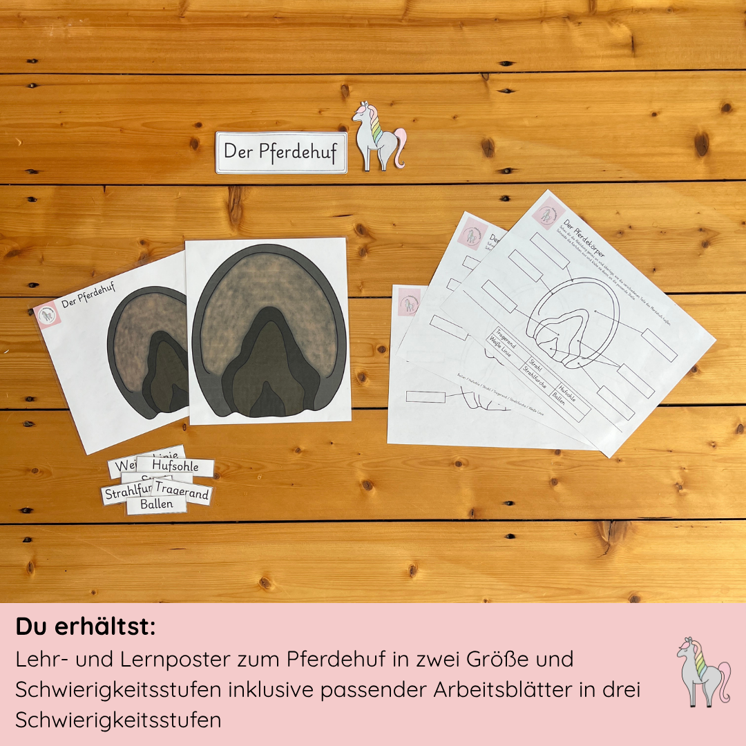 Materialpony - Rundum versorgt