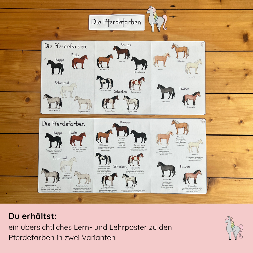 Materialpony - Rundum versorgt