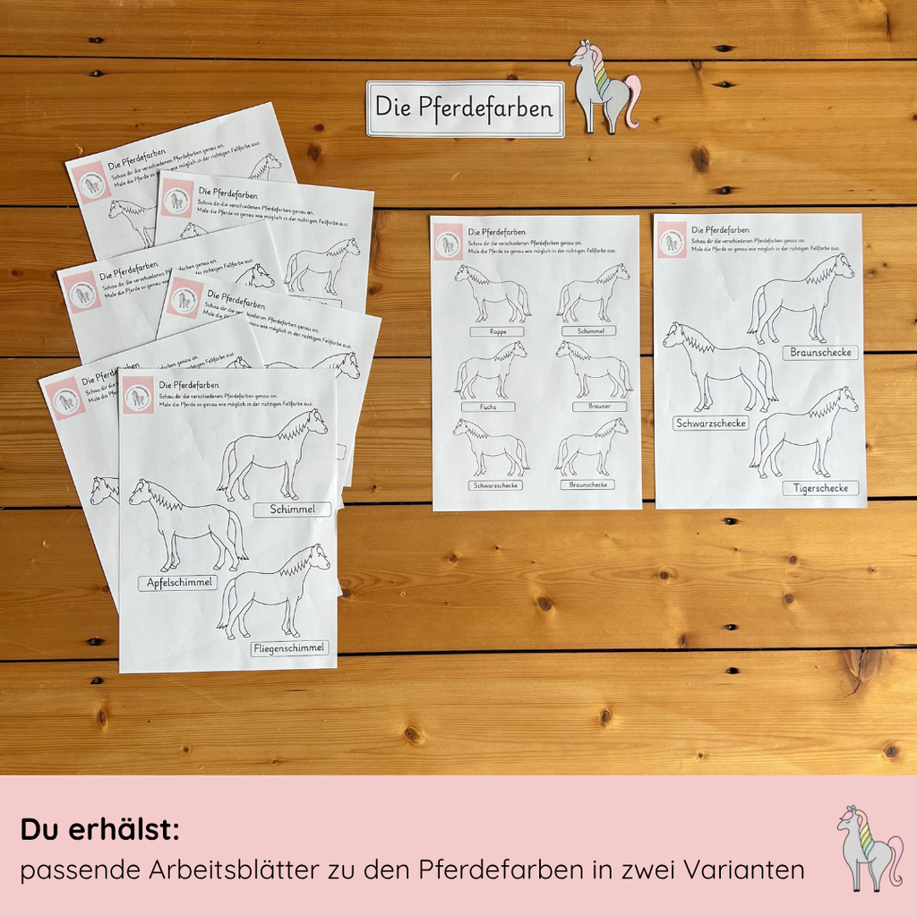 Materialpony - Rundum versorgt