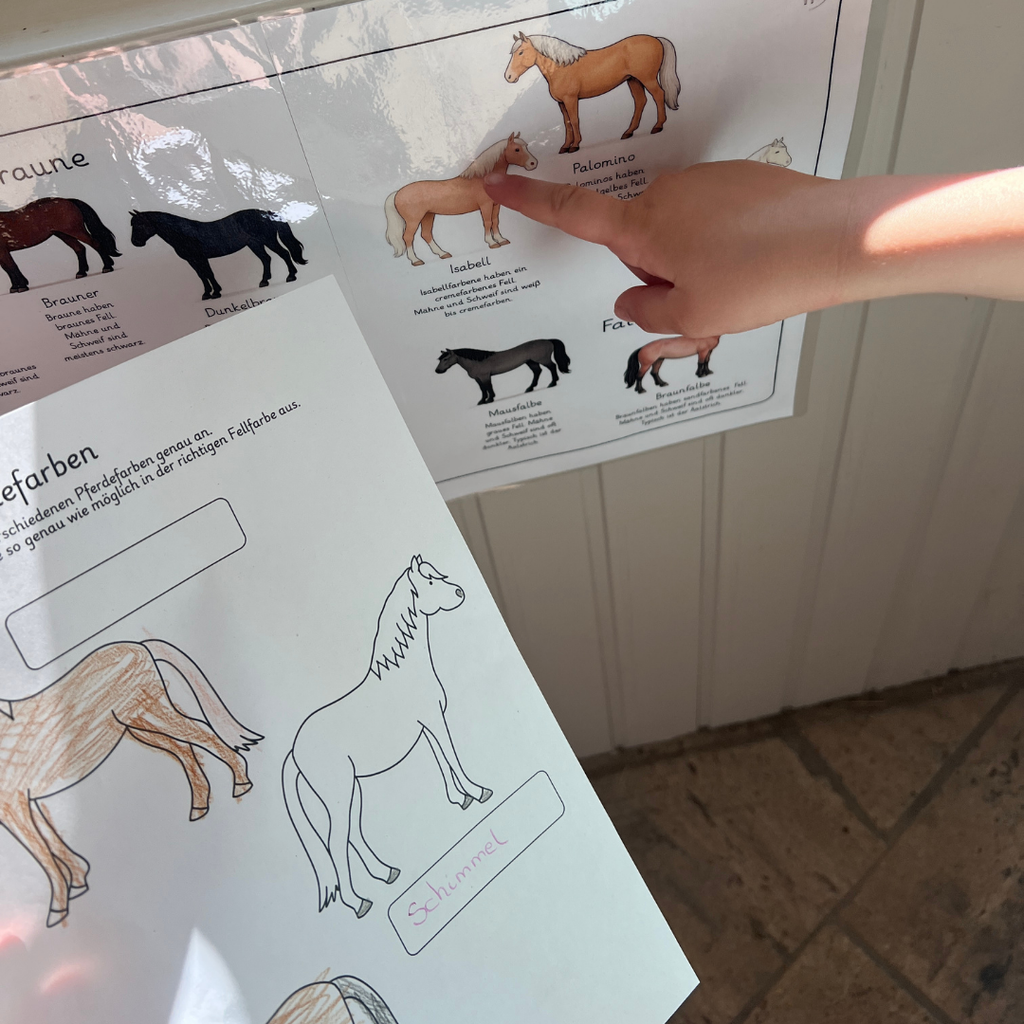 Materialpony - Rundum versorgt
