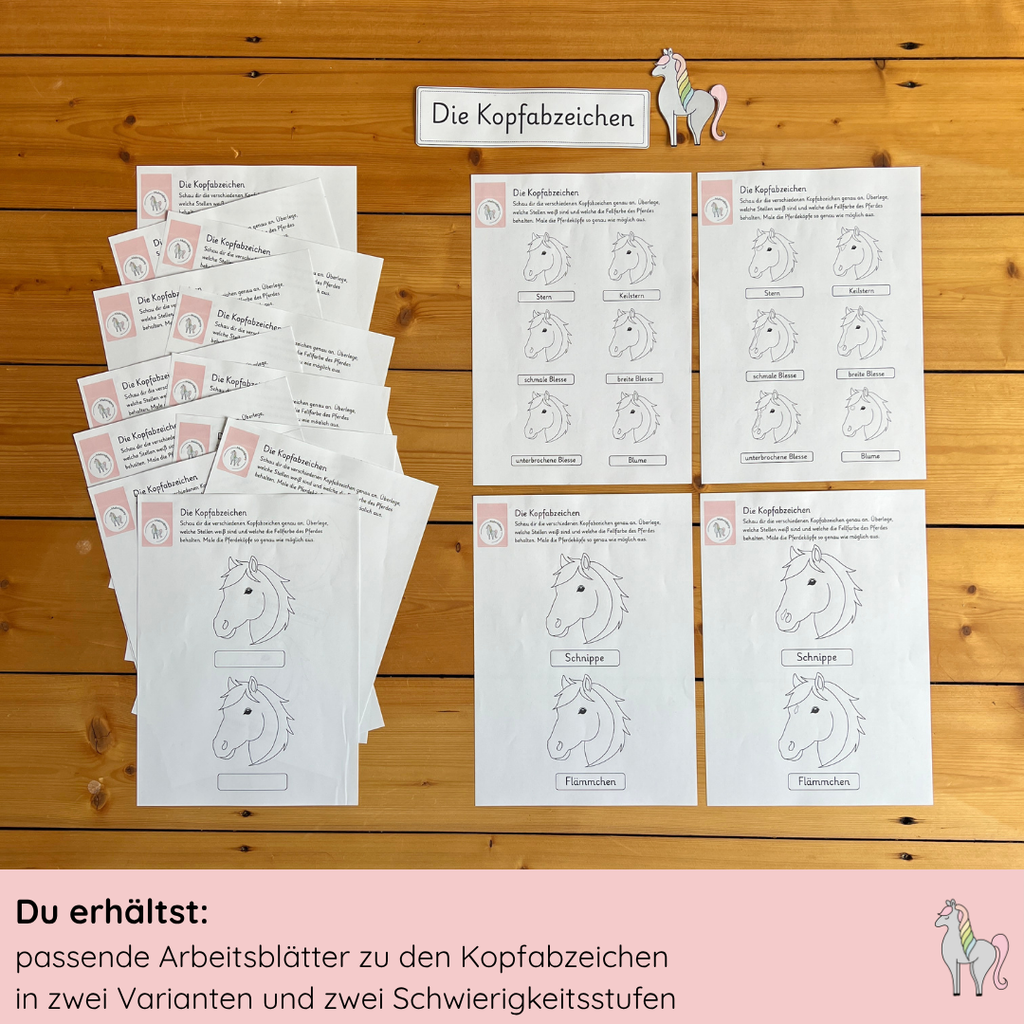 Materialpony - Rundum versorgt