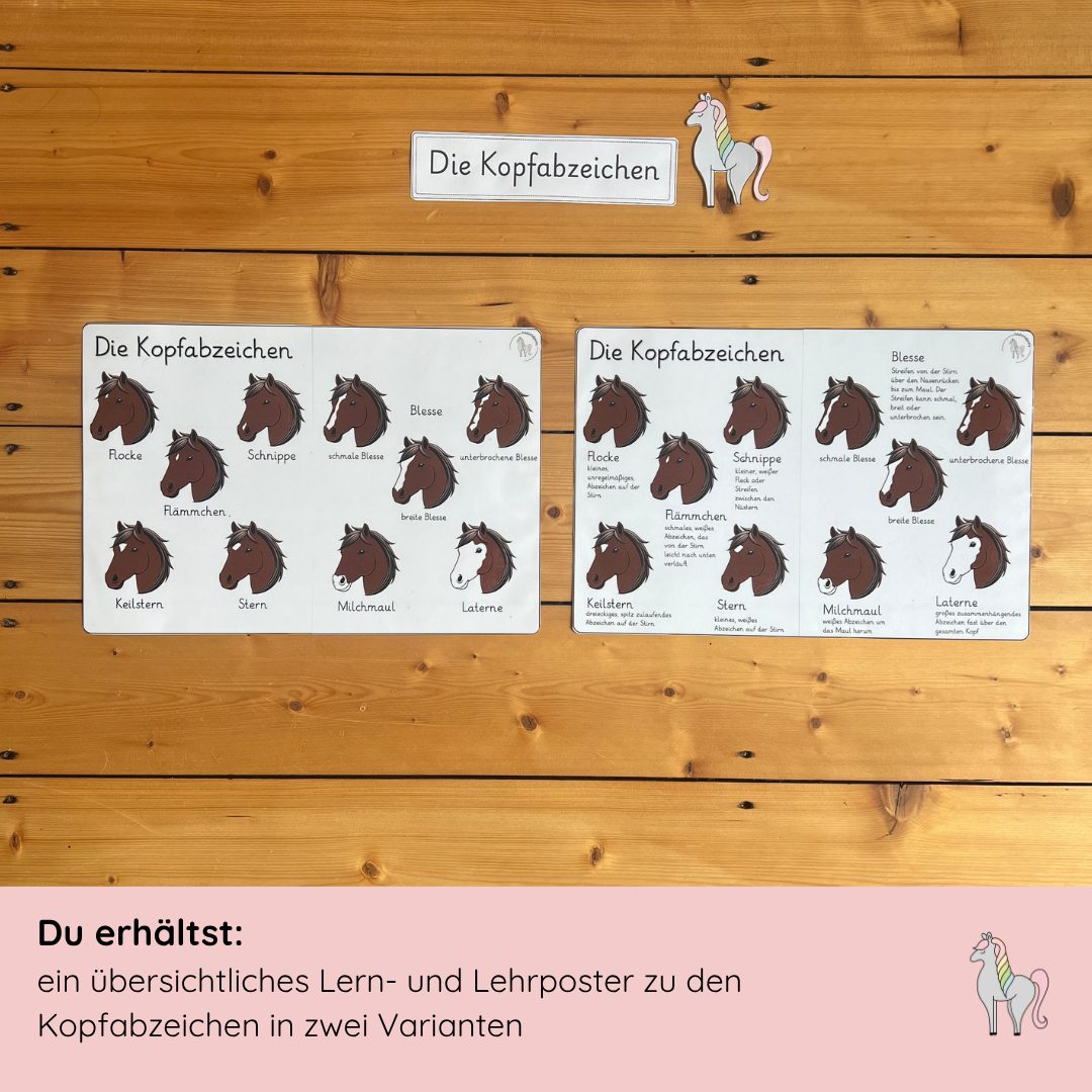Materialpony - Rundum versorgt