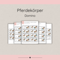 Lerndomino Pferdekörper 1