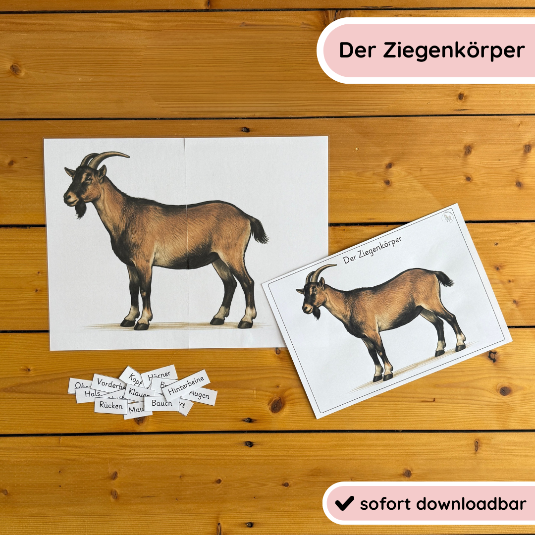 Unser Ziegen-Bundle