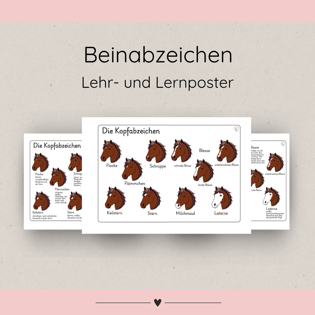 Lehrposter Kopfabzeichen