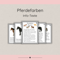 kindgerechte Infotexte Pferdefarben