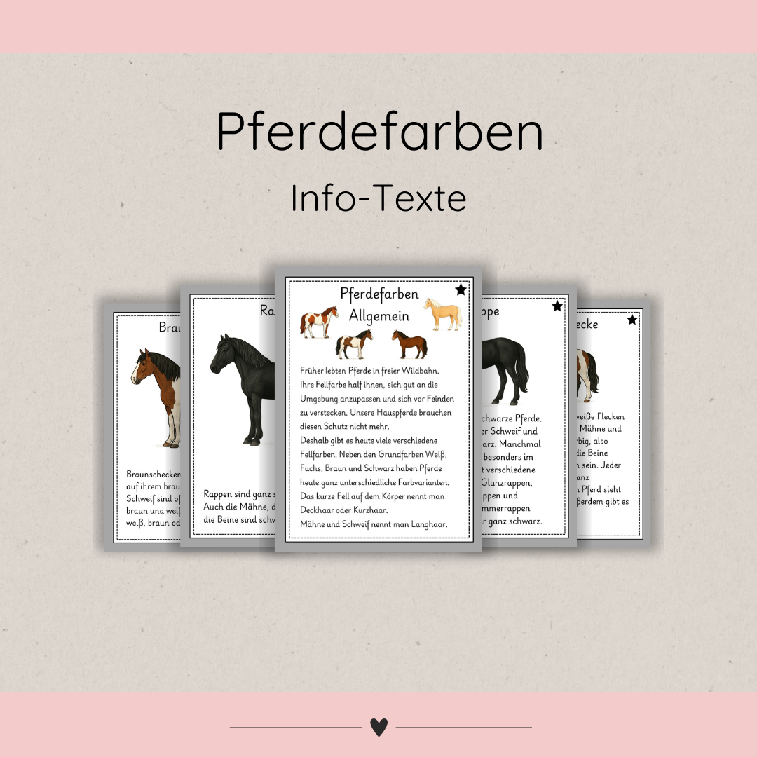 kindgerechte Infotexte Pferdefarben
