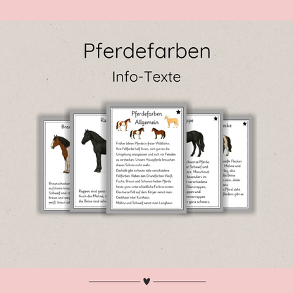 Child-friendly Information Texts: Horse Colors