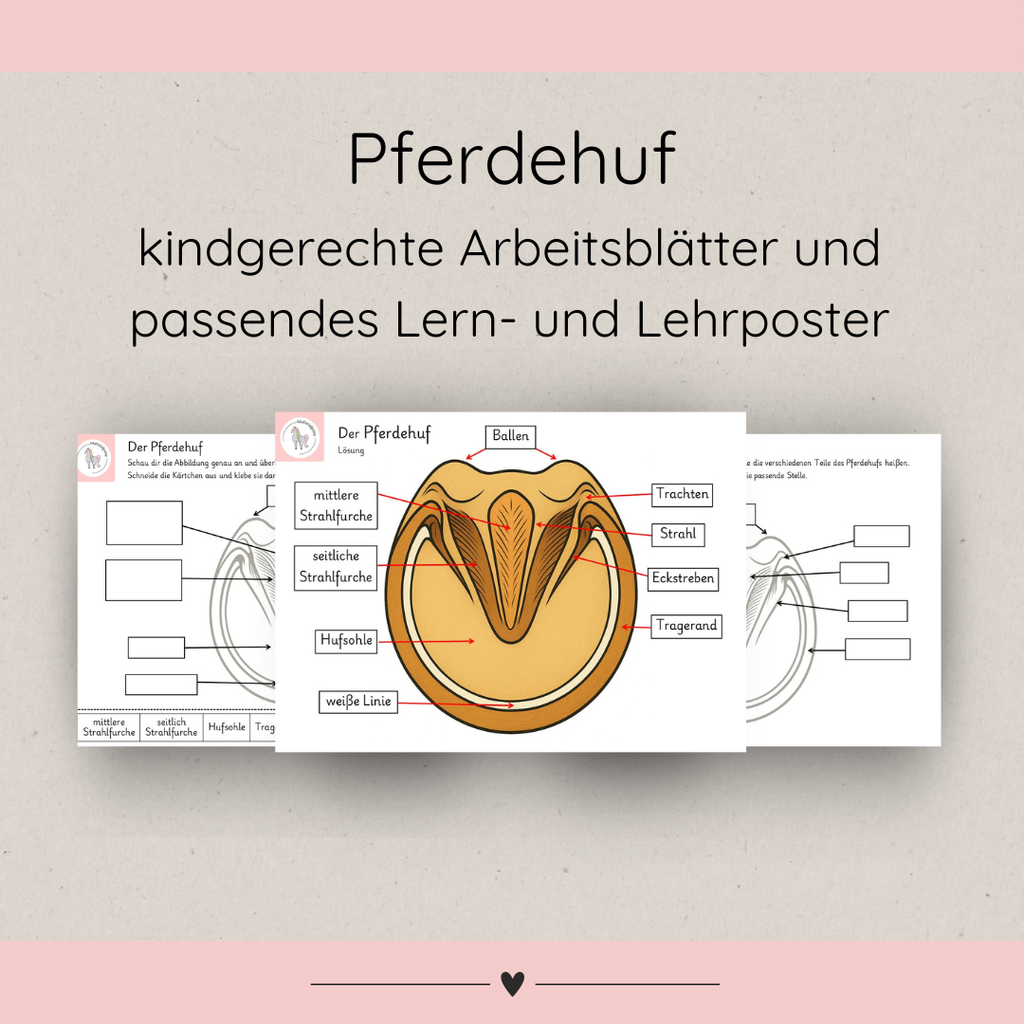 kindgerechte Arbeitsblätter und Lehr- und Lernposter Pferdehuf