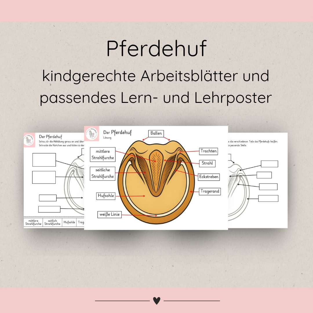 kindgerechte Arbeitsblätter und Lehr- und Lernposter Pferdehuf