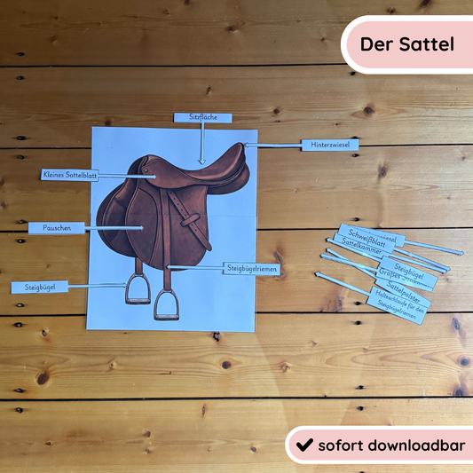 kindgerechte Arbeitsblätter und Lehr- und Lernposter Sattel