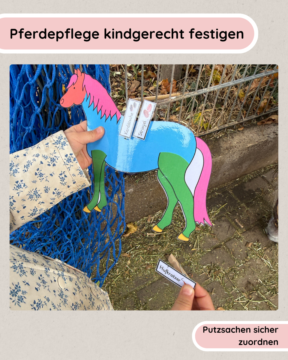 Clip-on Pony Horse Care