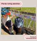 Pferdepflege - Pferde richtig abkühlen