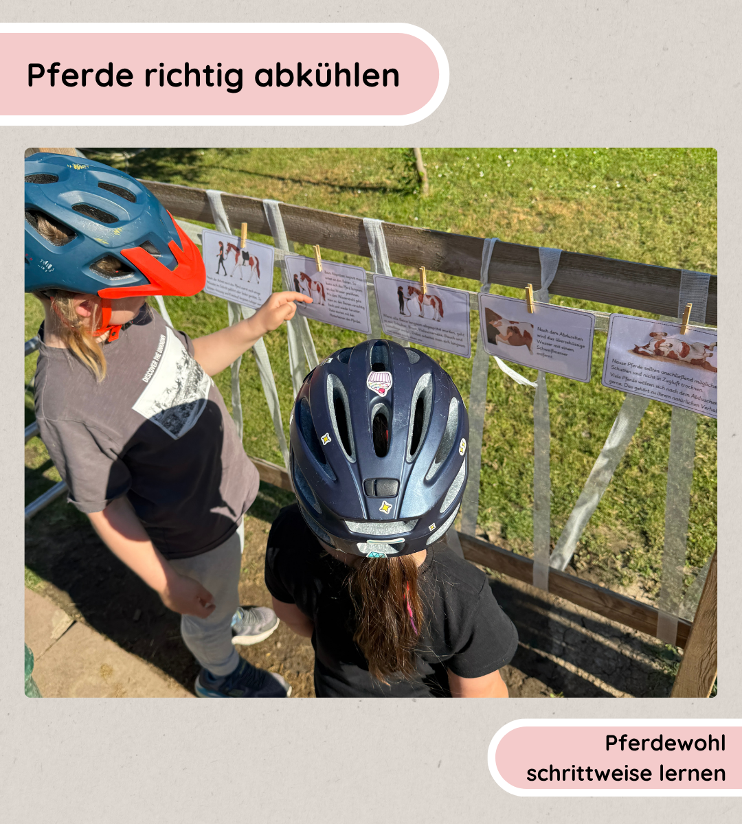 Pferdepflege - Pferde richtig abkühlen