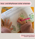 Kindgerechte Arbeitsblätter 2 - Nutz- und Giftpflanzen sicher erkennen und unterscheiden (Kopie)