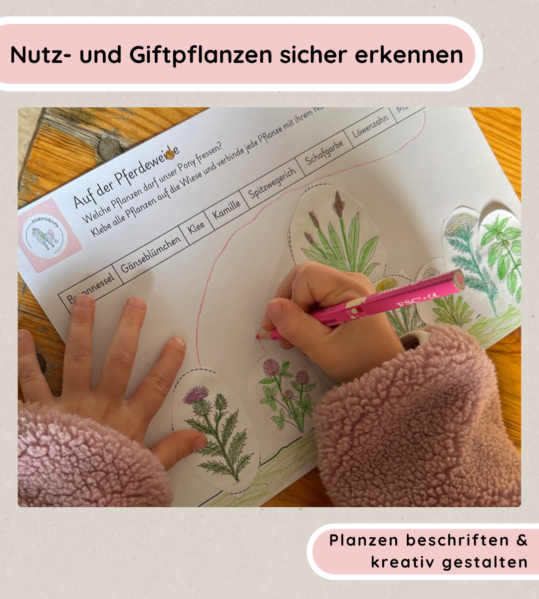 Kindgerechte Arbeitsblätter 2 - Nutz- und Giftpflanzen sicher erkennen und unterscheiden (Kopie)