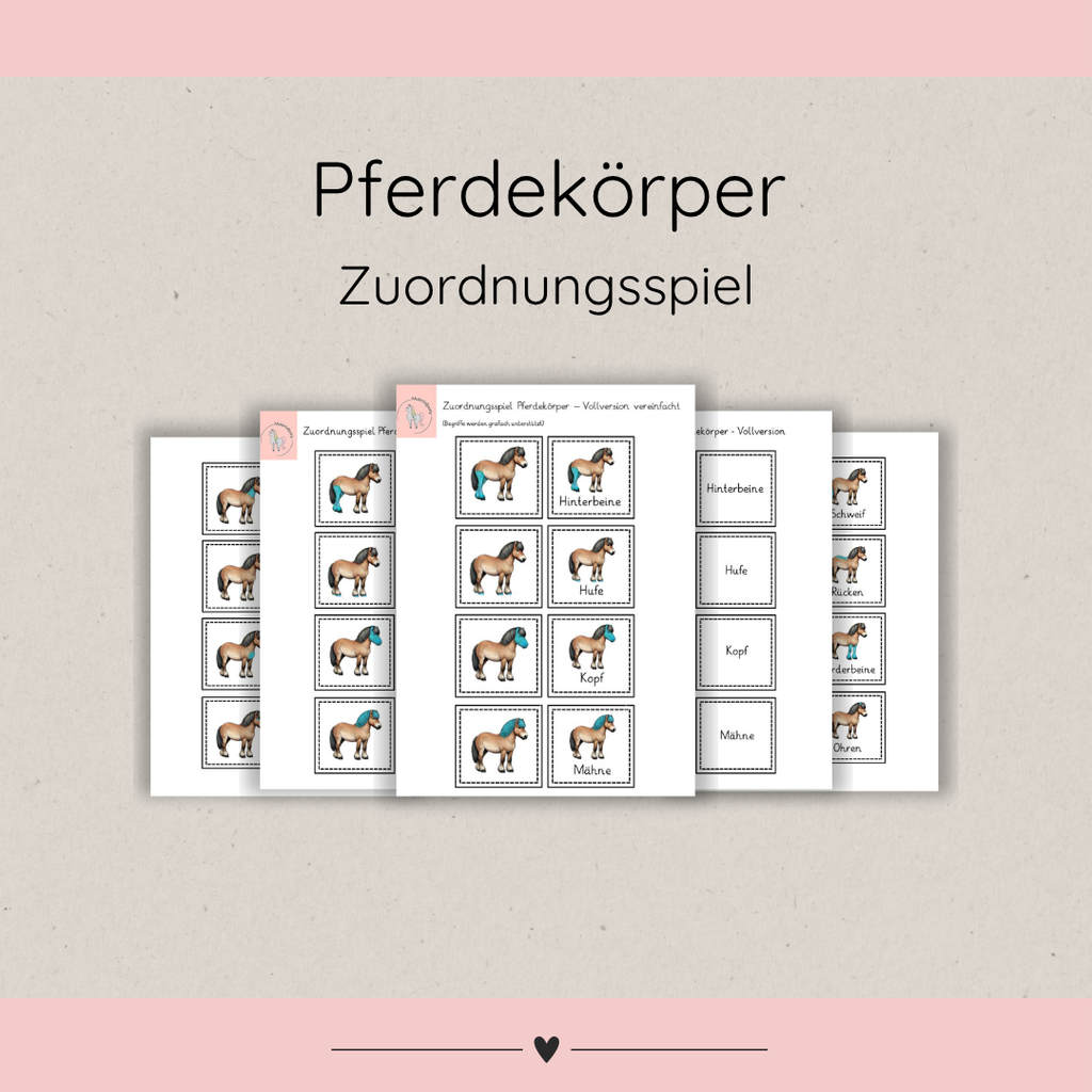 Zuordnungsspiele Pferdekörper