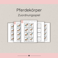 Zuordnungsspiele Pferdekörper