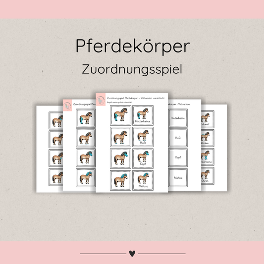 Zuordnungsspiele Pferdekörper