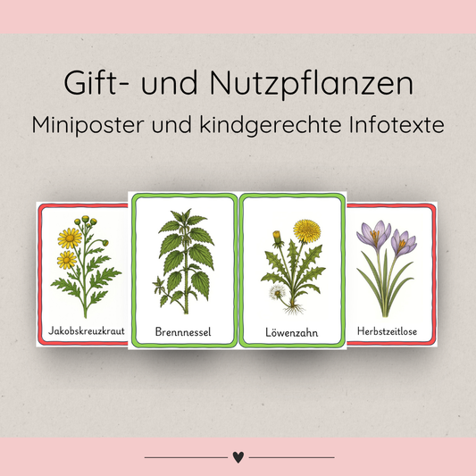 kindgerechte Arbeitsblätter und Miniposter Gift- und Nutzpflanzen